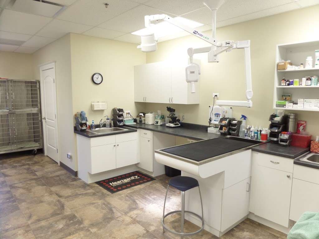 Campton Animal Clinic | 40W089 IL Route 64, St. Charles, IL 60175, USA | Phone: (630) 513-8387