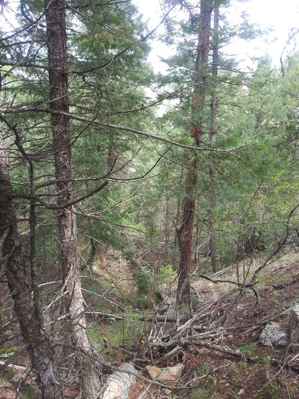 Crosier Mountain Rainbow Trailhead (#981) | 9497 Co Rd 43, Drake, CO 80515, USA