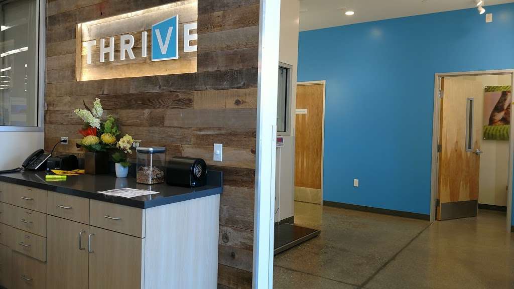 THRIVE Affordable Vet Care | 30464 Haun Rd, Menifee, CA 92584 | Phone: (951) 400-5904