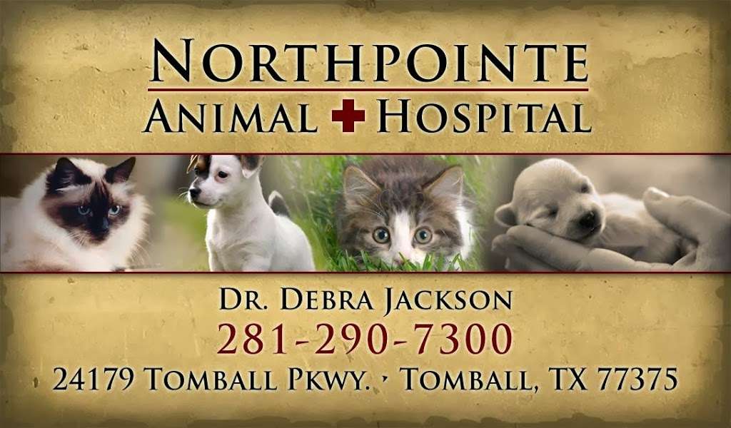 Northpointe Animal Hospital | 24179 Tomball Pkwy, Tomball, TX 77375, USA | Phone: (281) 290-7300