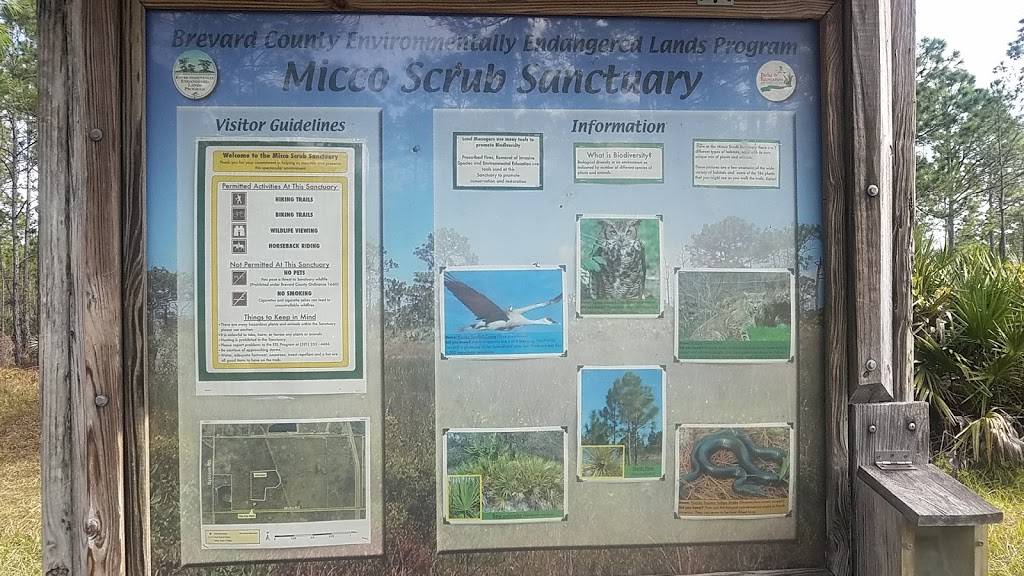 Micco Scrub Sanctuary | 500 Micco Rd, Palm Bay, FL 32909, USA | Phone: (321) 255-4466