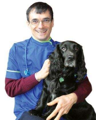 Companion Care Vets, Brentford | 2 London Rd, Brentford TW8 8JW, UK | Phone: 020 8150 8683