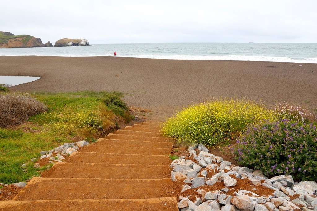 Rodeo Beach | San Francisco, CA 94123, USA