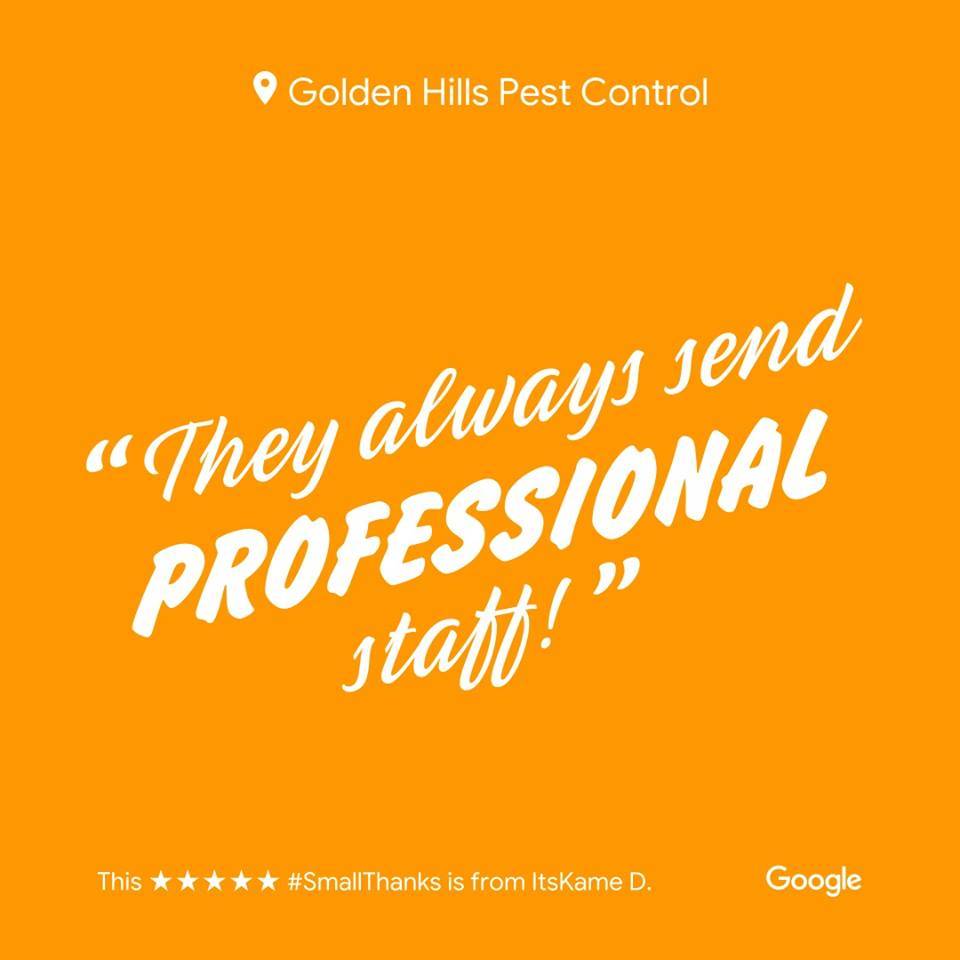 Golden Hills Pest Control | 1544 Santa Ana Ave #100, Sacramento, CA 95838, USA | Phone: (916) 333-3738