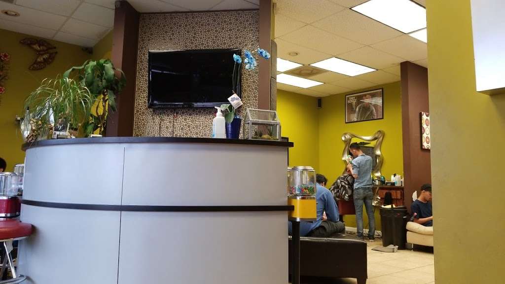 Q Salon 2 | 17817 Farm to Market Rd 529, Houston, TX 77095 | Phone: (281) 855-8580