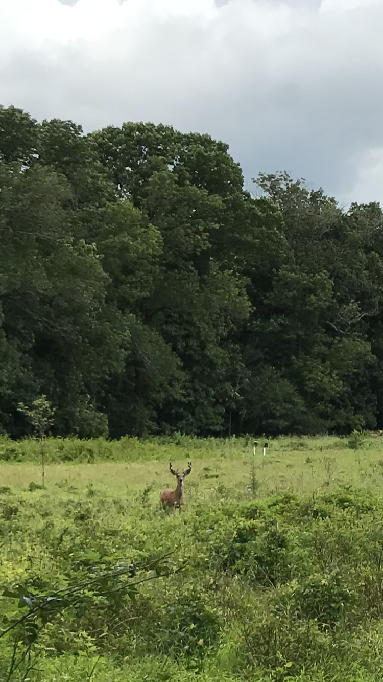 Sassman Lane Trail Access | Sassman Ln, Monmouth Junction, NJ 08852, USA