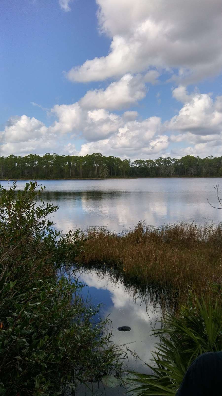 Ocala National Forest - Seminole Ranger Station | 40929 FL-19, Umatilla, FL 32784, USA | Phone: (352) 669-3153