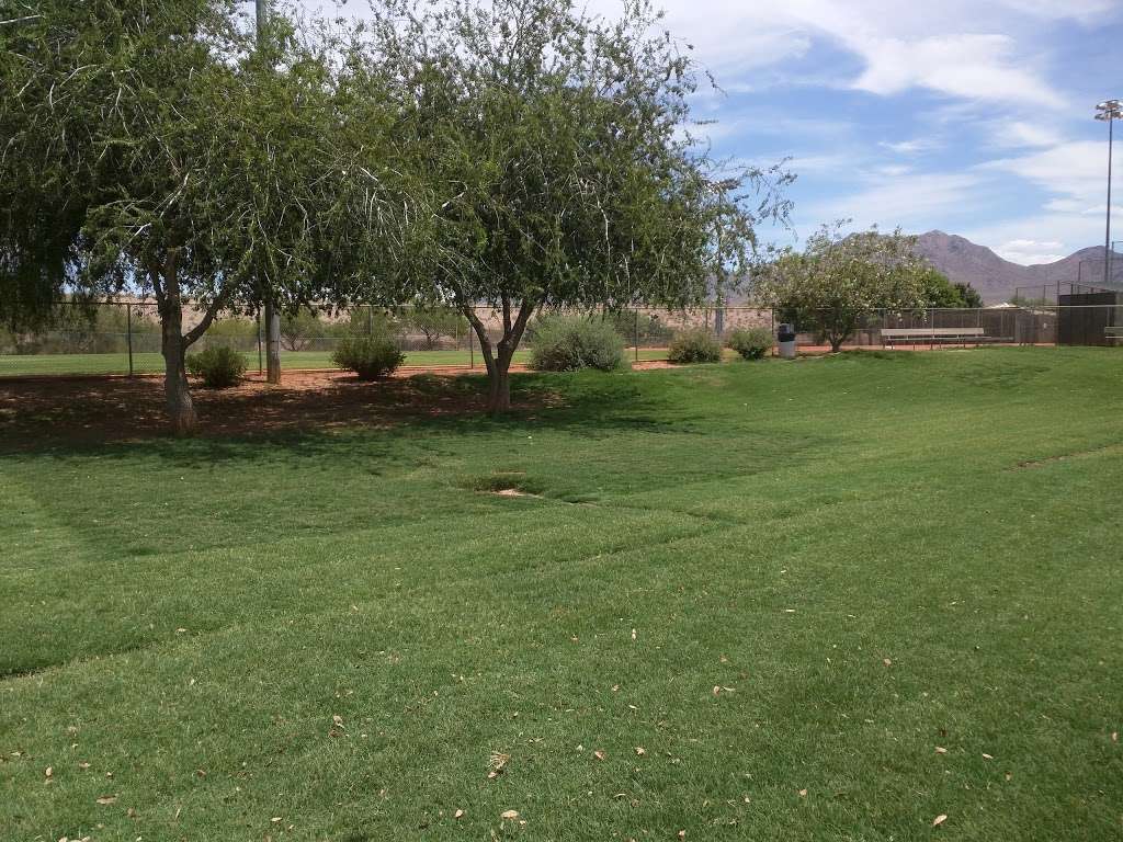 Horizon Dog Park | 15444 N 100th St, Scottsdale, AZ 85260, USA | Phone: (480) 312-2650