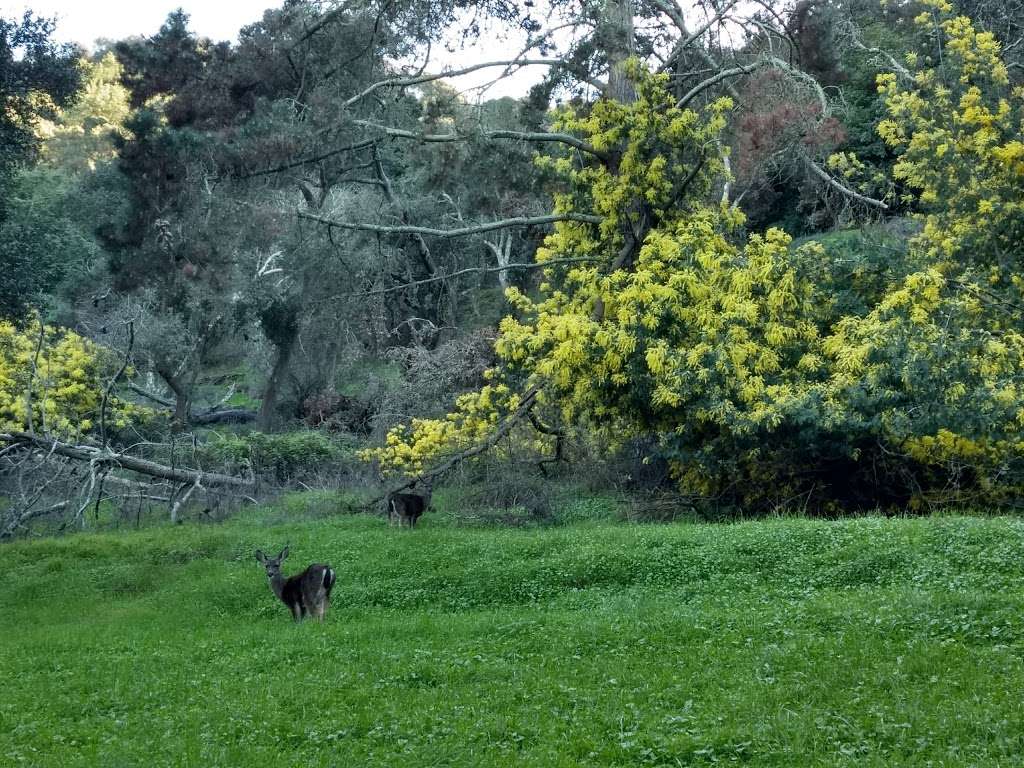 Angel Island State Park | Tiburon, CA 94920, USA | Phone: (415) 435-5390