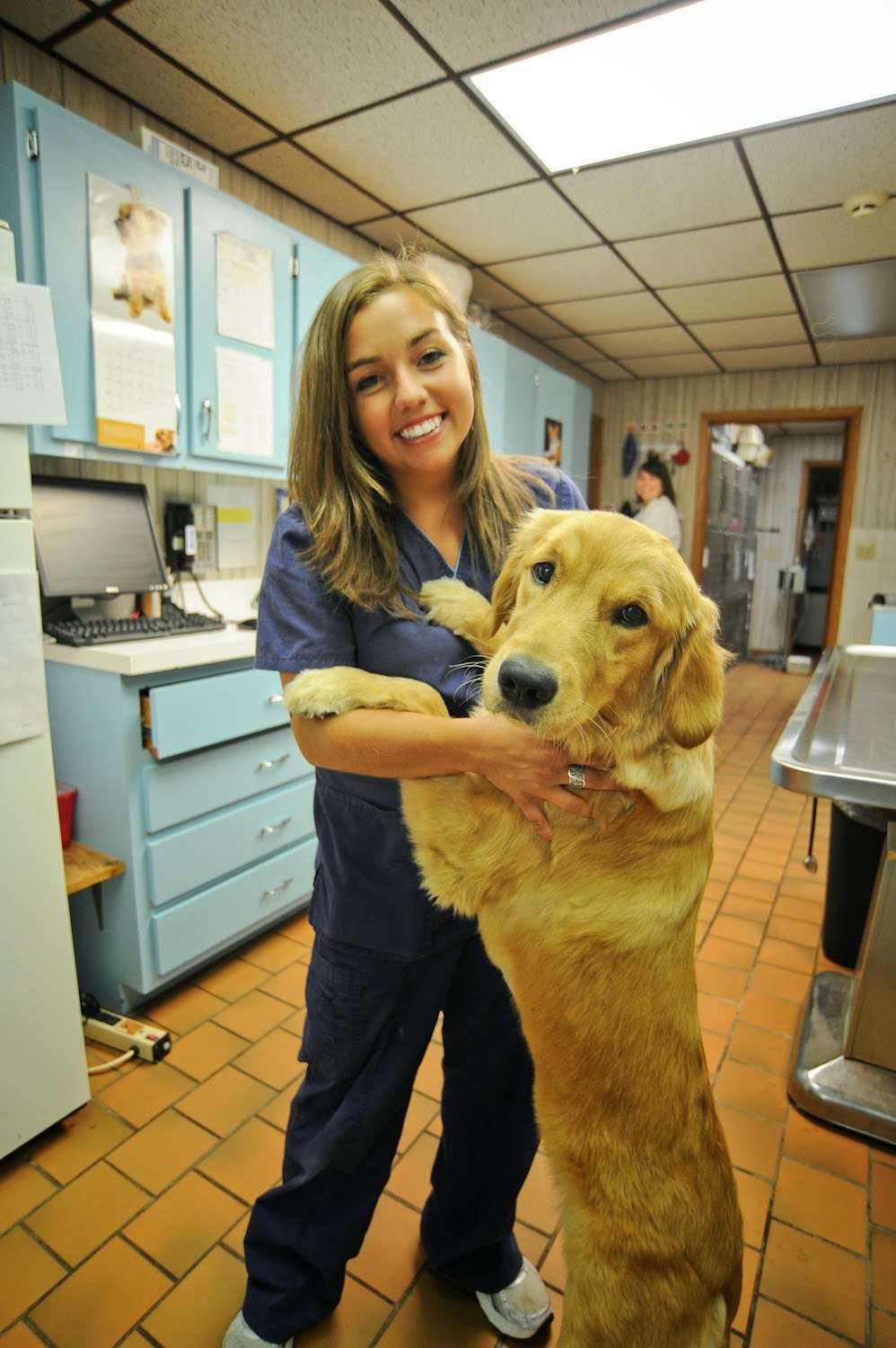 Animal Clinic at New Lenox | 1328 N Cedar Rd, New Lenox, IL 60451 | Phone: (815) 485-4477