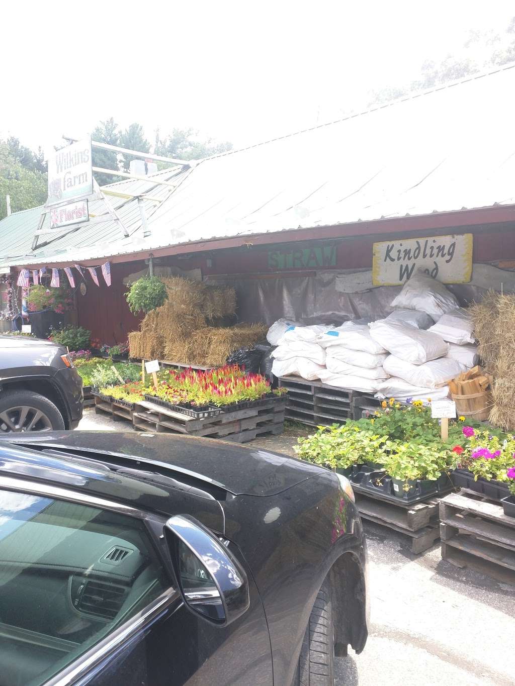 R. Wilkins Farm Stand | 20 South Rd, Pepperell, MA 01463, USA | Phone: (978) 433-8974