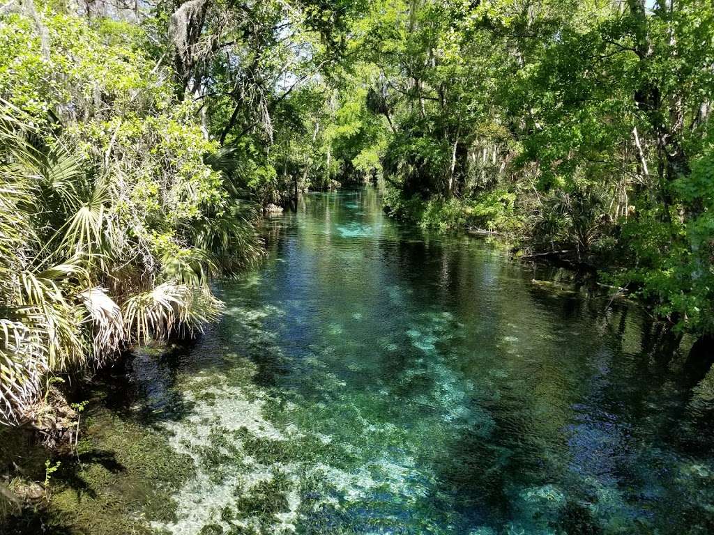 Silver Springs State Park | 5656 E Silver Springs Blvd, Silver Springs, FL 34488, USA | Phone: (352) 261-5840