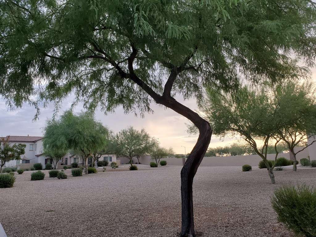 Casa Del Rey at Camino á Lago Open Space | 20009726, Peoria, AZ 85383, USA