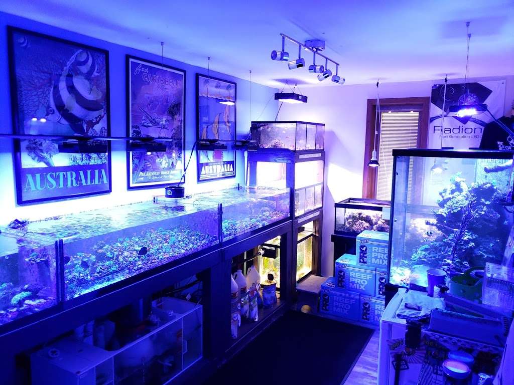 Frags 2 Fishes | 29 Kimbelot Ln, Landenberg, PA 19350, USA | Phone: (215) 800-0234