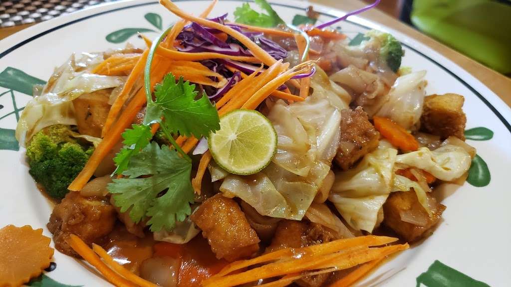 Thai Vegan | 15614 Huebner Rd STE 113, San Antonio, TX 78248, USA | Phone: (210) 257-0090