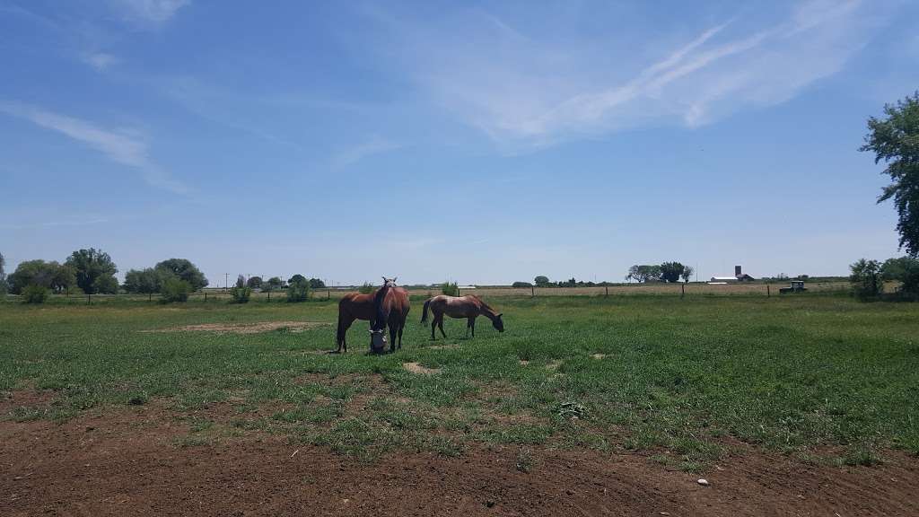 Rinn Valley Horse Farms | 3239-3275 Bella Rosa Pkwy, Longmont, CO 80504, USA