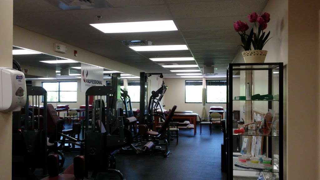 Professional Physical Therapy | 222 High St Suite 203, Newton, NJ 07860, USA | Phone: (973) 383-3822