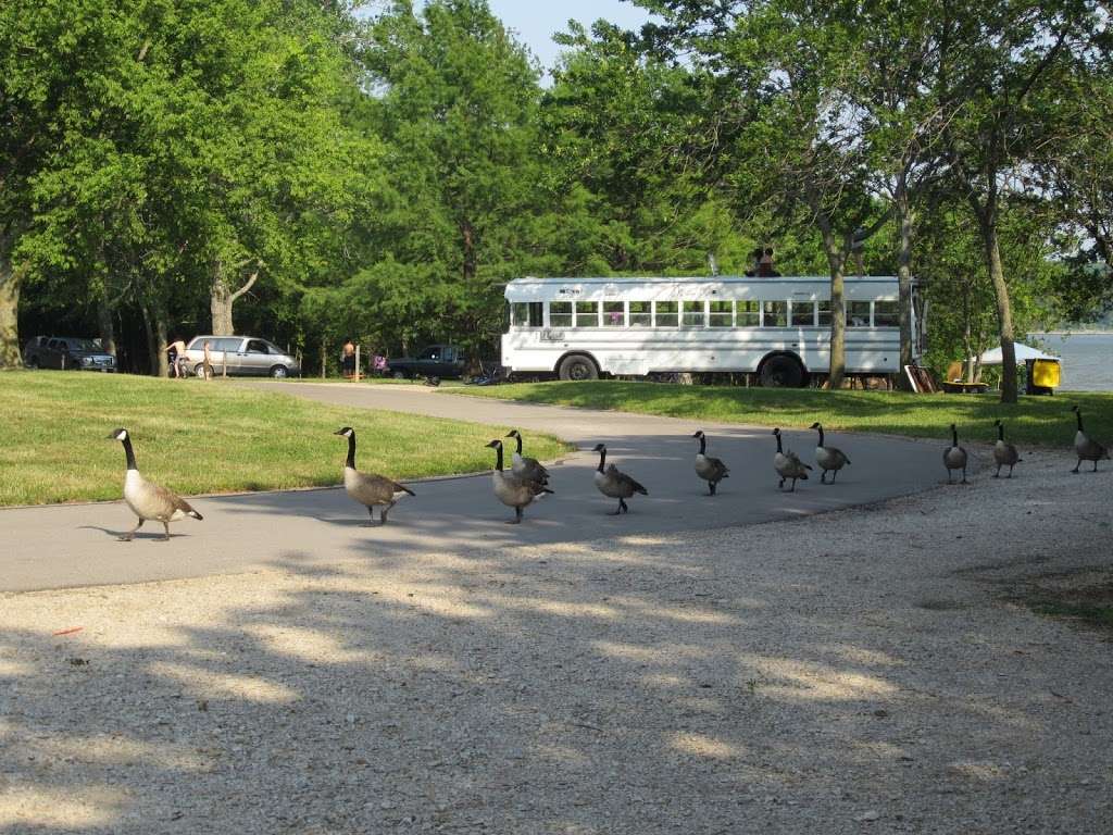 Hickory Campground | Lawrence, KS 66047, USA | Phone: (816) 389-2000