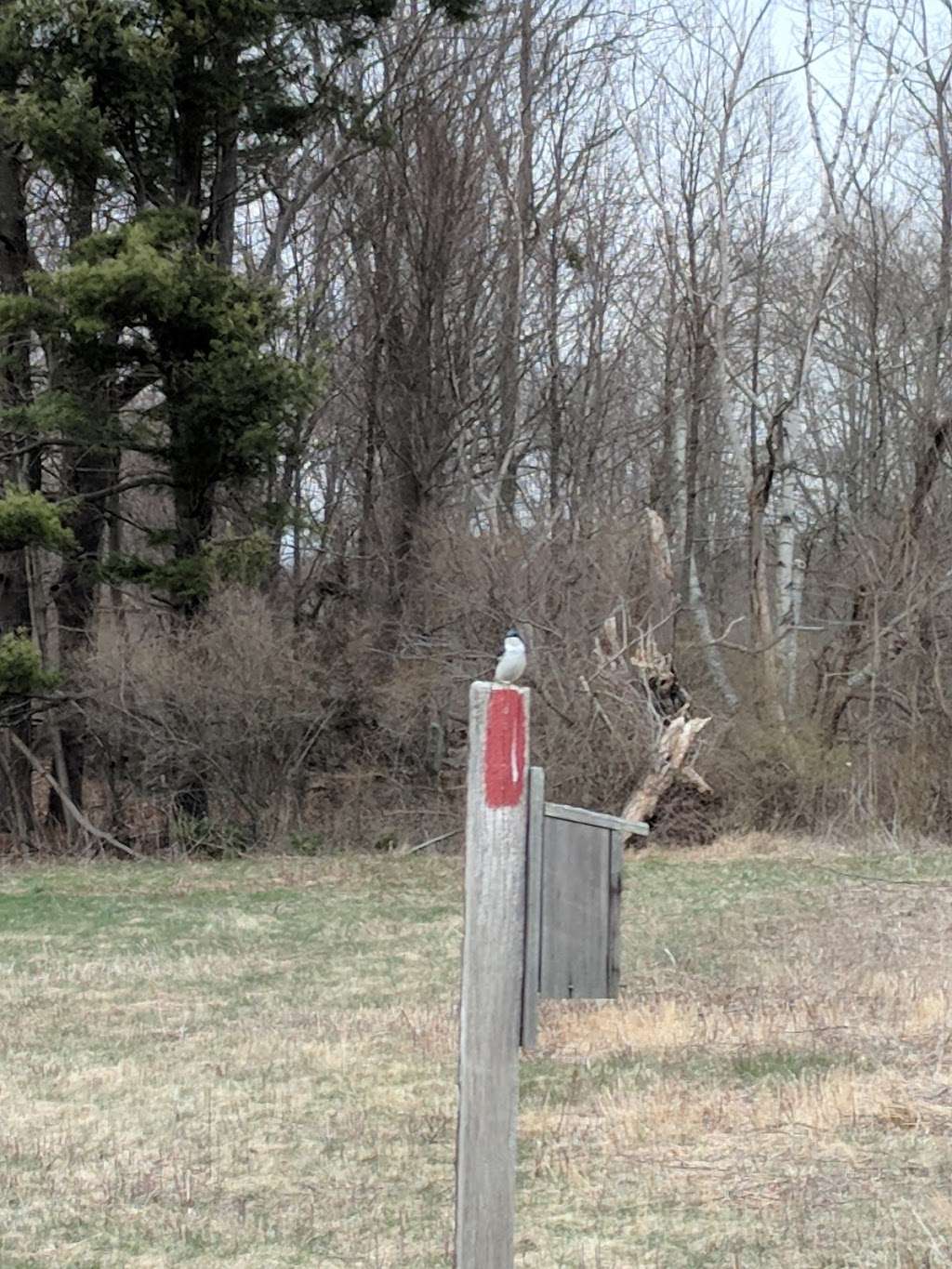 Caratunk Wildlife Refuge - Audubon Society of RI | 301 Brown Ave, Seekonk, MA 02771, USA | Phone: (401) 245-7500 ext. 3201