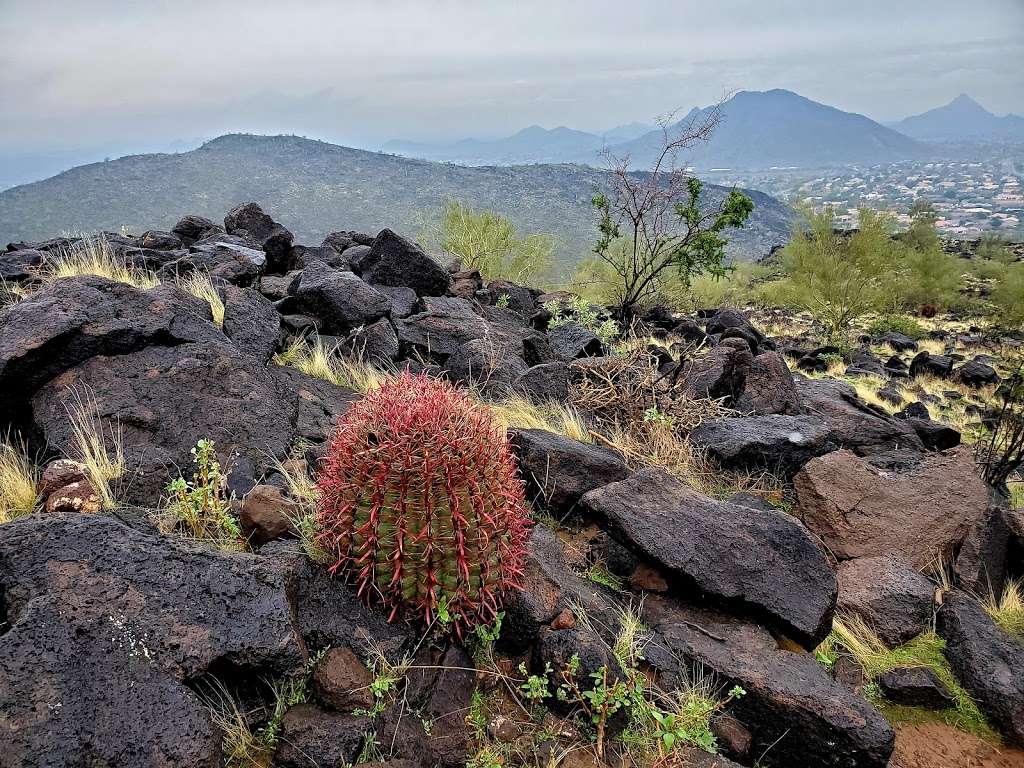 Thunderbird Conservation Park | 22800 N 59th Ave, Glendale, AZ 85310, USA | Phone: (623) 930-2820