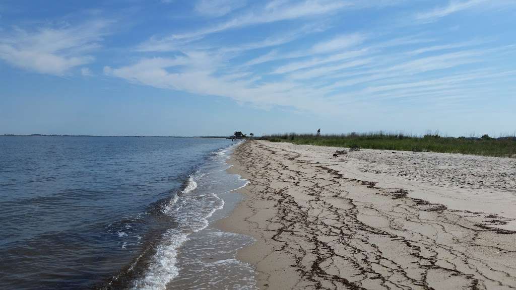 Janes Island State Park | 26280 Alfred J Lawson Dr, Crisfield, MD 21817, USA | Phone: (410) 968-1565