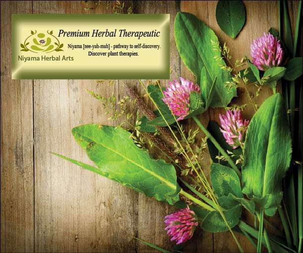 Niyama Herbal Arts | 1500 N State Rd 135, Nashville, IN 47448, USA | Phone: (812) 720-0465