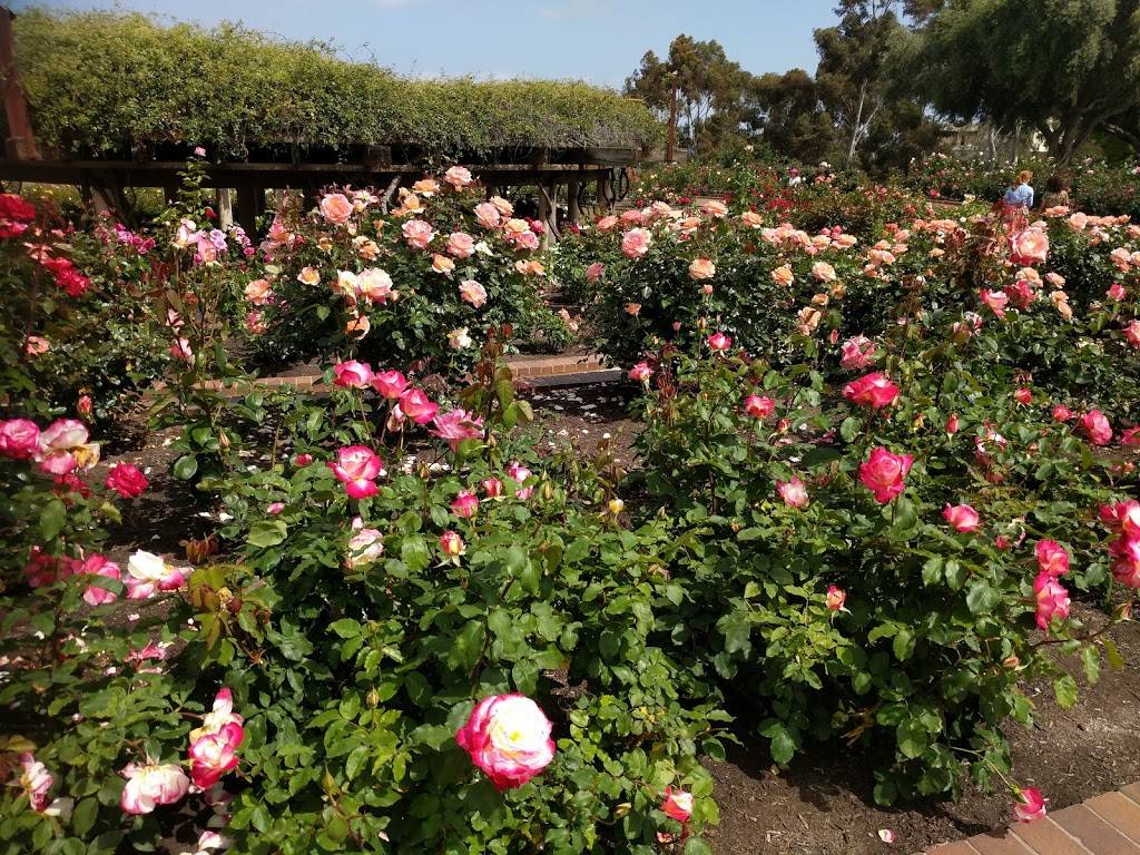 Inez Grant Parker Memorial Rose Garden | 2125 Park Blvd, San Diego, CA 92101 | Phone: (619) 235-1169