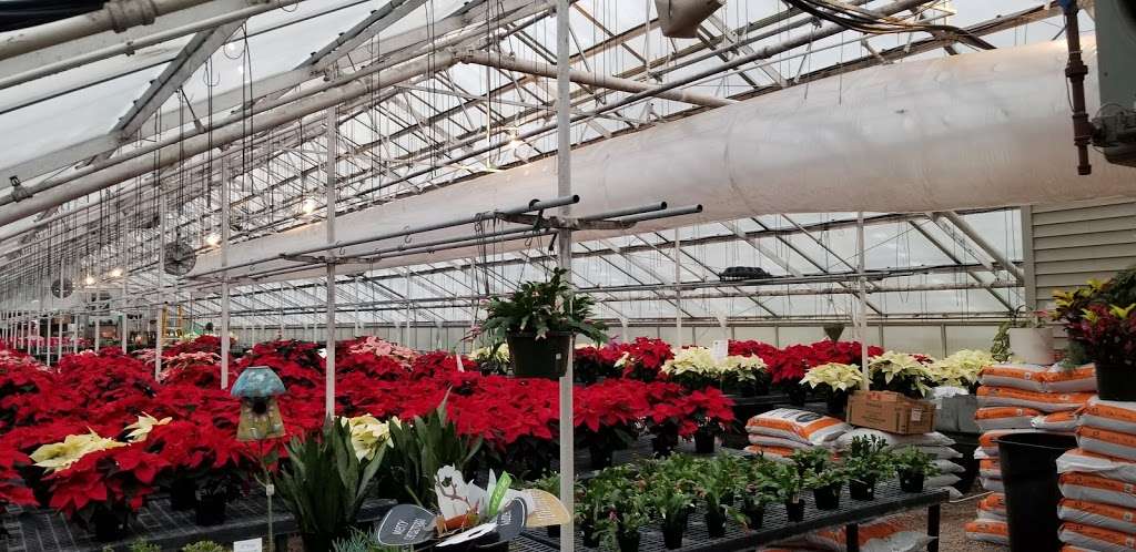 Waukesha Floral & Greenhouse | 319 S Prairie Ave, Waukesha, WI 53186 | Phone: (262) 542-8152