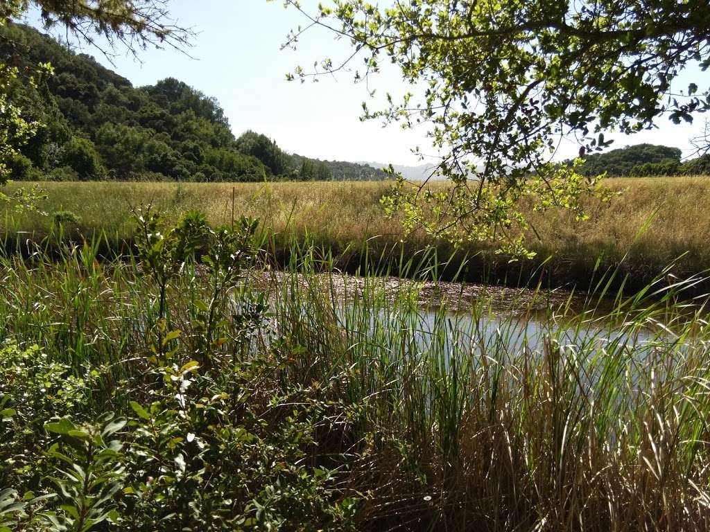 Boronda Lake Docks | Unnamed Road, Palo Alto, CA 94304, USA