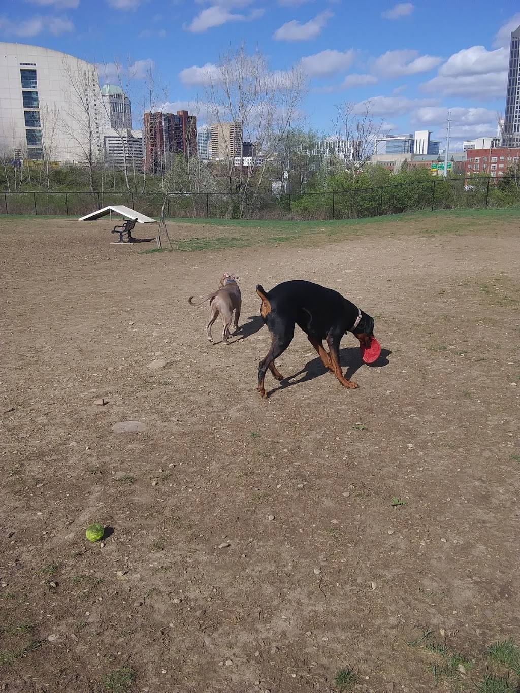 Scioto Audubon Dog Park | 347 Maier Pl, Columbus, OH 43215, USA | Phone: (614) 202-5197