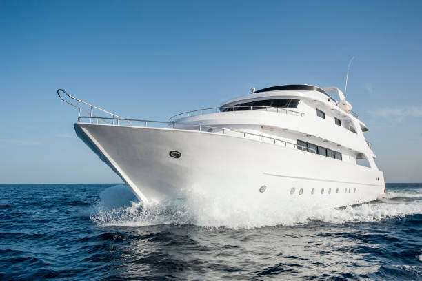 Pro Result Detailing | 2323 W, State Rd 842, Fort Lauderdale, FL 33312, USA | Phone: (786) 219-9116