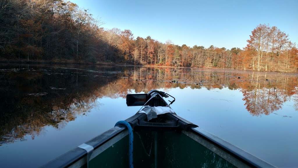 Trap Pond State Park | 33587 Baldcypress Lane, Laurel, DE 19956, USA | Phone: (302) 875-5153