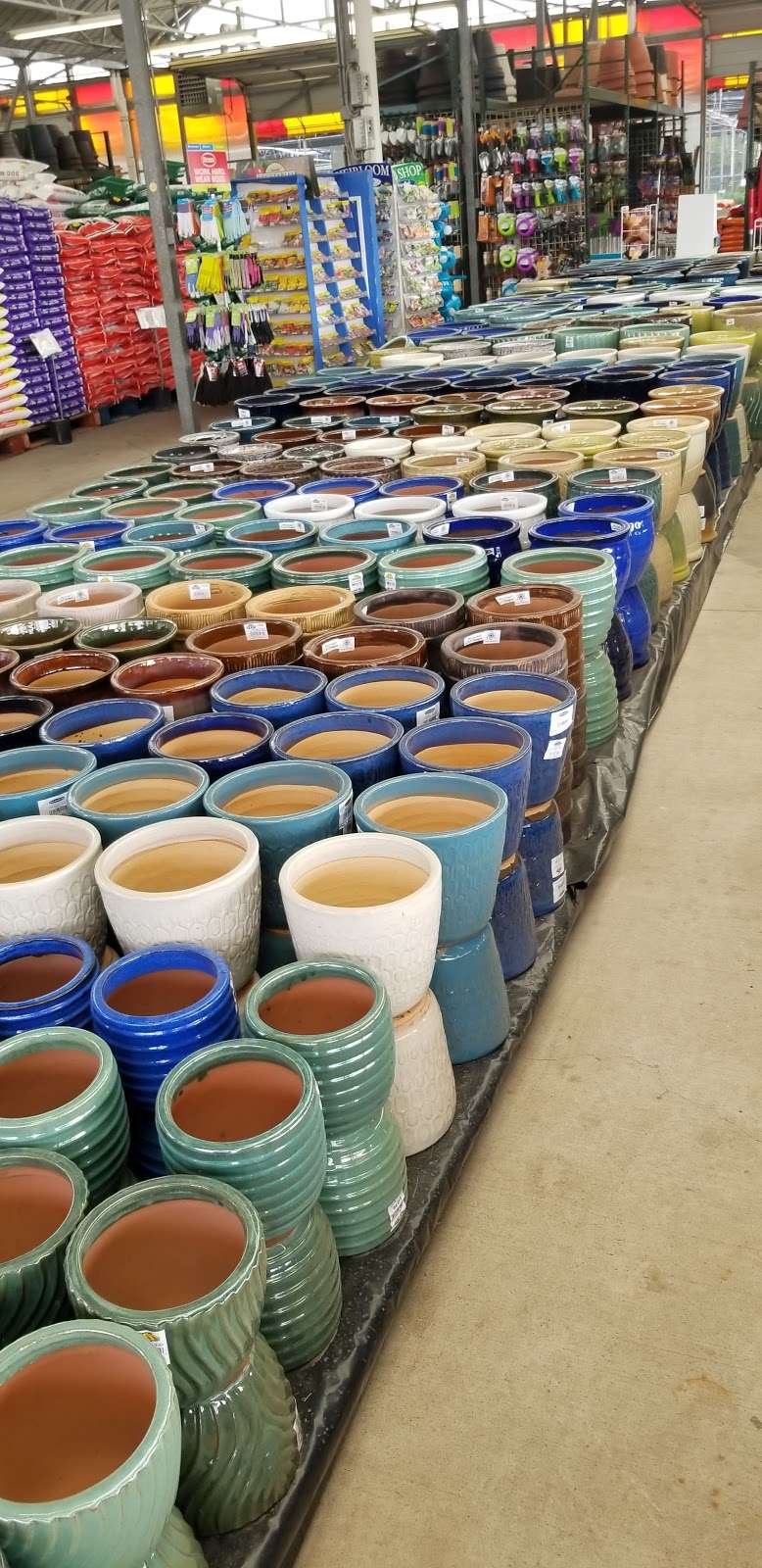 Houston Garden Centers | 13403 South Fwy, Houston, TX 77047, USA | Phone: (713) 433-6157