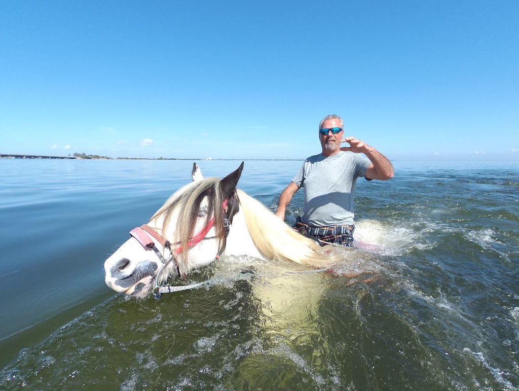 CPonies Beach Horseback Rides | St. Petersburg, FL 33715, USA | Phone: (941) 773-5196