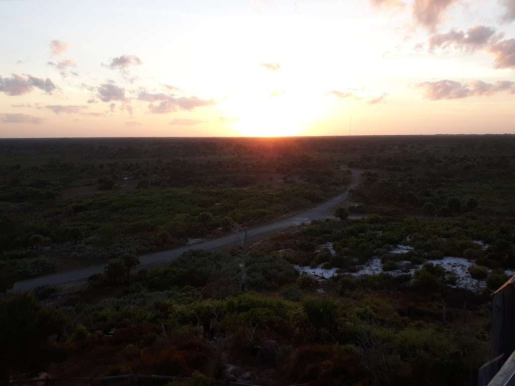 Camp Murphy MTB Trails at Jonathan Dickinson State Park | 16450 SE Federal Hwy, Hobe Sound, FL 33455, USA | Phone: (561) 722-8320