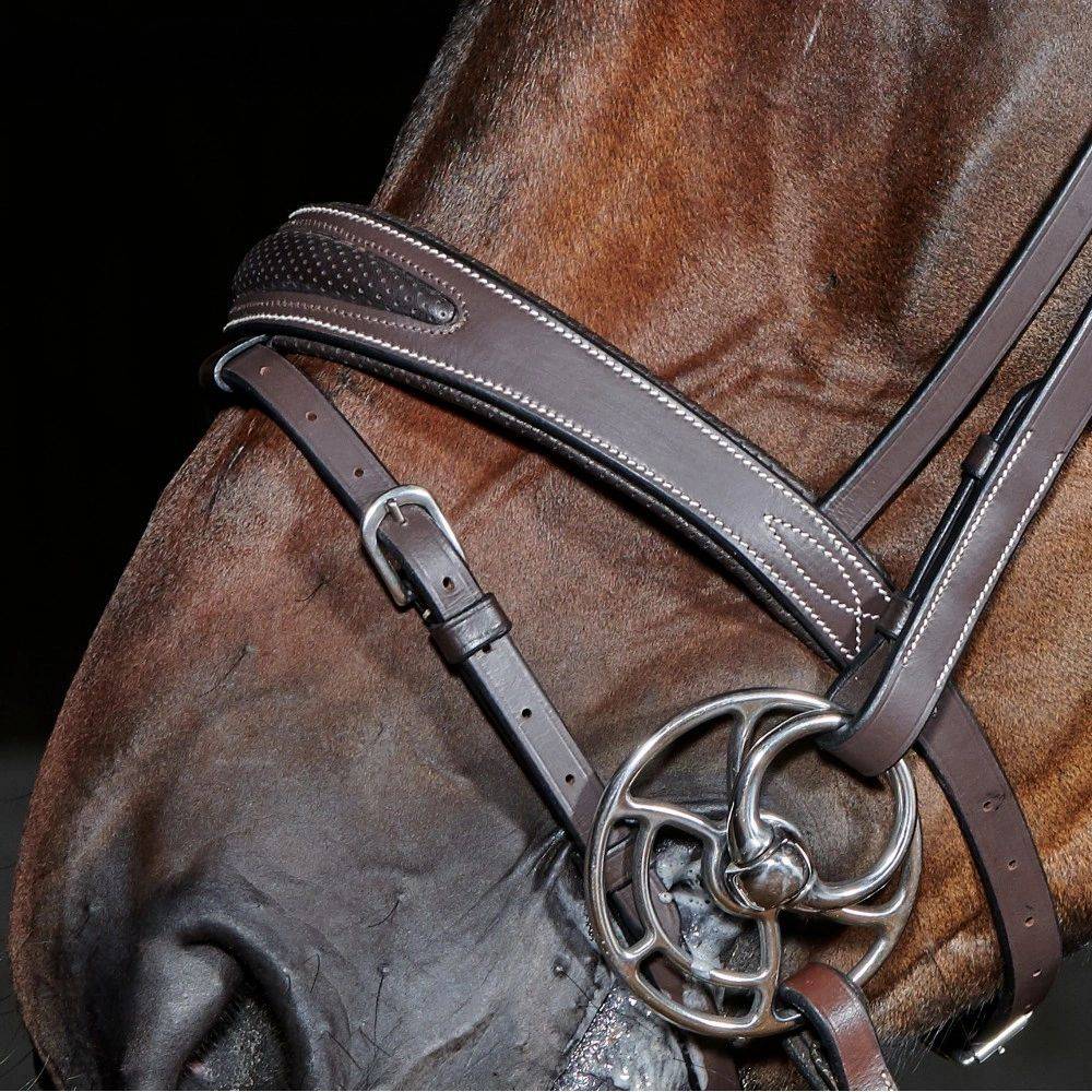 Great British Equinery | 2489 Woodsway Dr, Greenwood, IN 46143, USA | Phone: (317) 851-6991