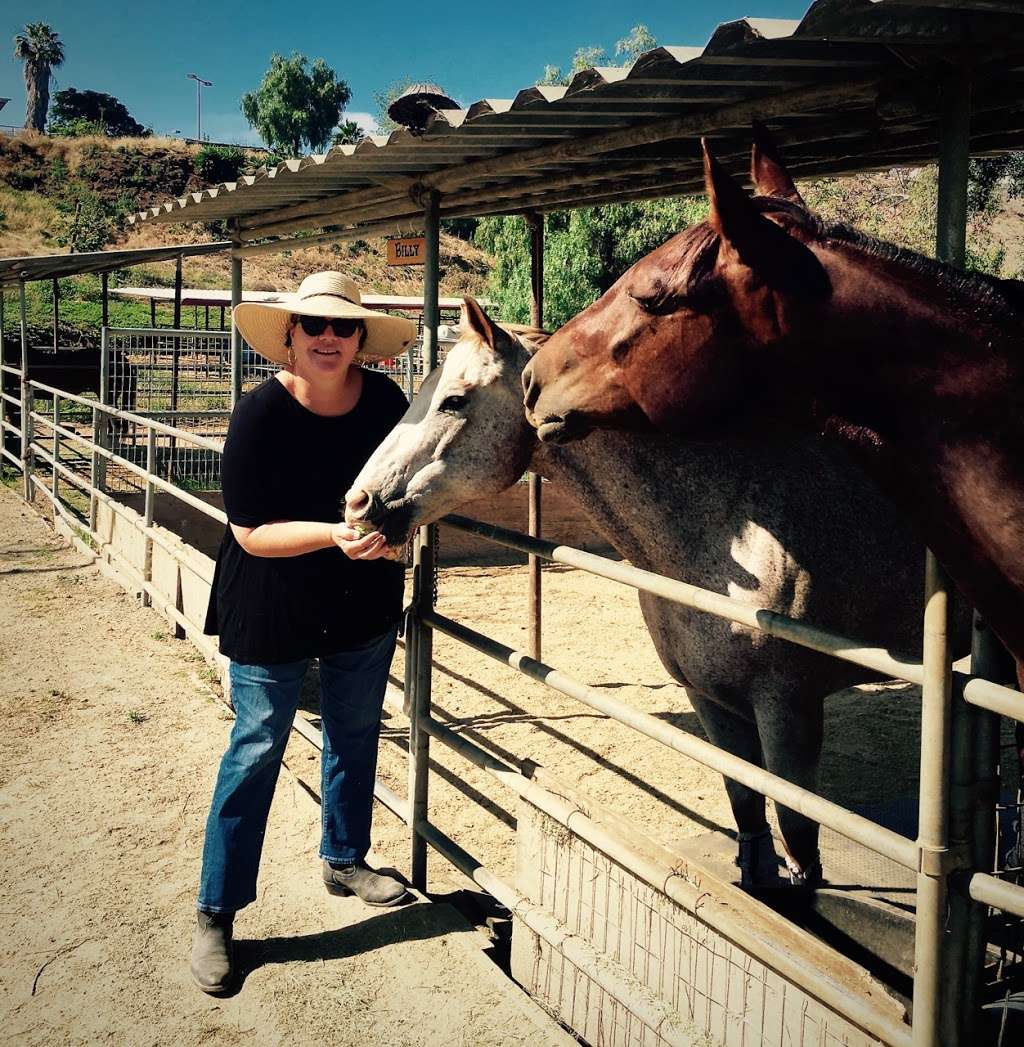 Lucky 7 Stables | Bonita, CA 91902, USA | Phone: (619) 517-9817