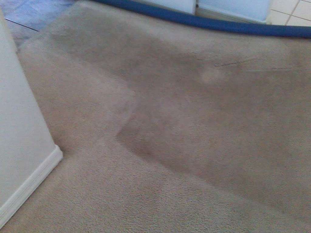 F & F Carpet Cleaning, Inc. | 1635 N 87th St, Scottsdale, AZ 85257, USA | Phone: (480) 314-4800