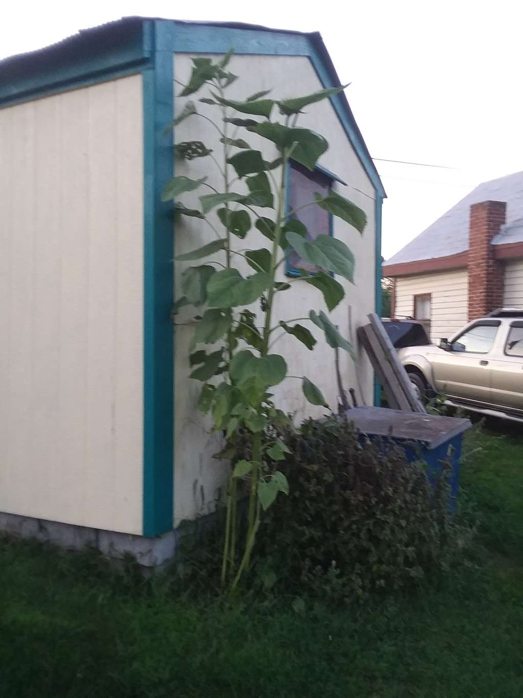 Old Farm House Tea Room | 7027 Lincoln Hwy, Thomasville, PA 17364, USA | Phone: (717) 225-0451