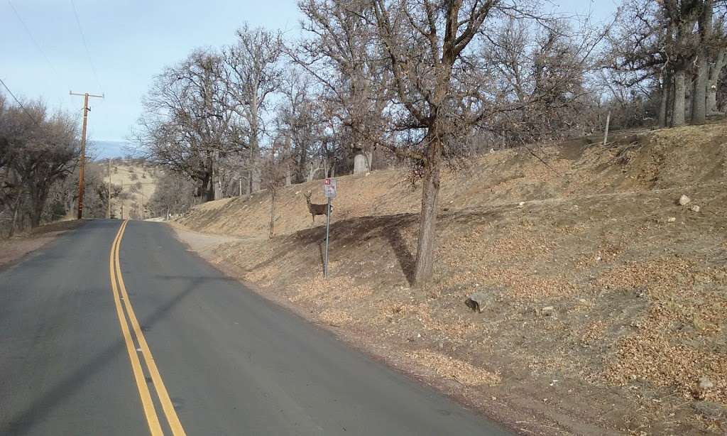 Tehachapi Mountain Park Entrance | 17336 Water Canyon Rd, Tehachapi, CA 93561, USA