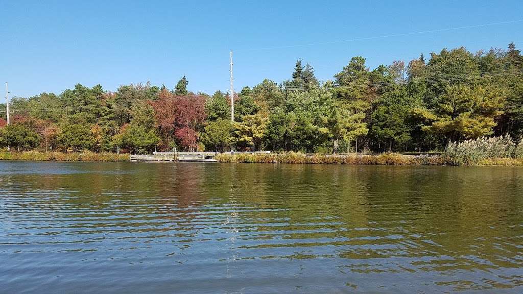 Harry Wright Lake | Lake Rd, Whiting, NJ 08759, USA | Phone: (732) 657-8121