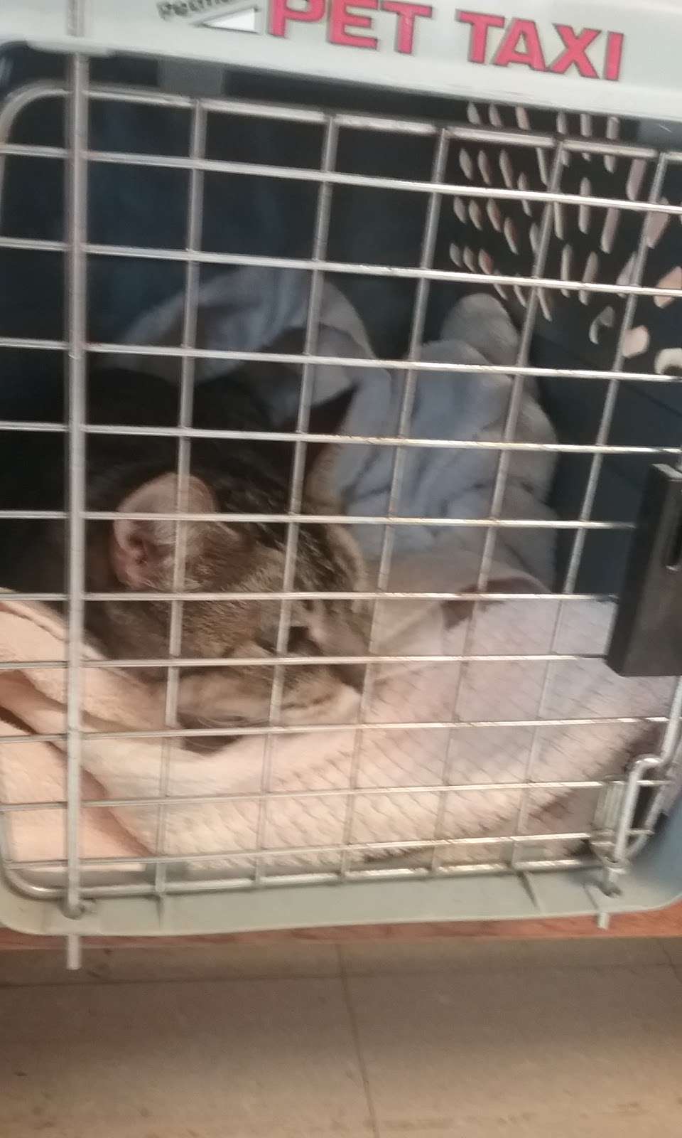 Southern Kern Veterinary Clinic, Inc | 4455 Rosamond Blvd, Rosamond, CA 93560, USA | Phone: (661) 256-8121