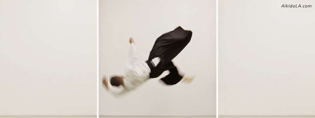 Aikido Academy Los Angeles | 4510 Pico Blvd, Los Angeles, CA 90019, USA | Phone: (310) 277-7077