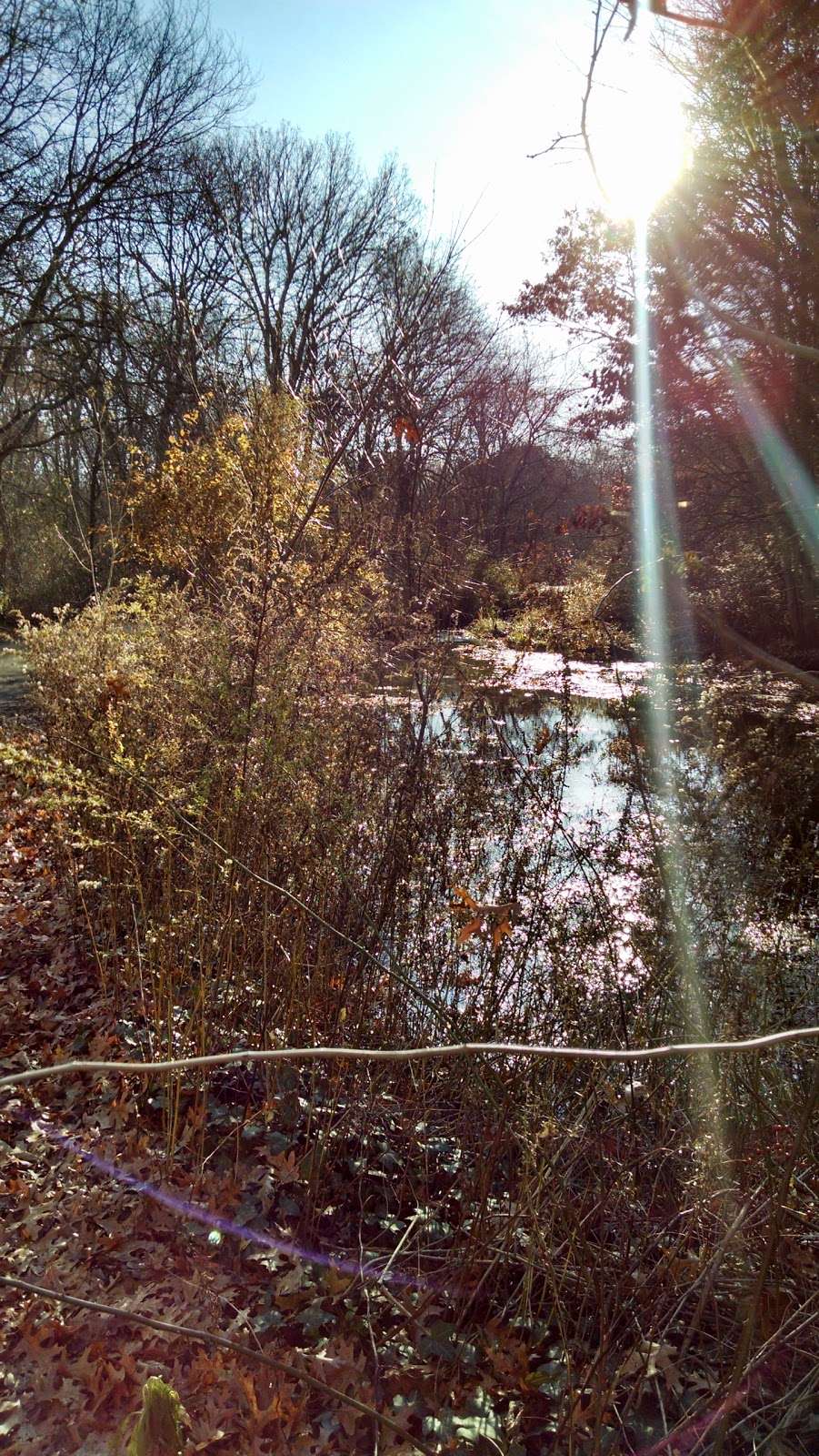 Bethpage Bikeway | Bethpage Bikeway, Massapequa Park, NY 11762, USA