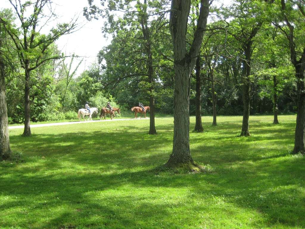 Forty Acres Woods | Palos Park, IL 60464 | Phone: (800) 870-3666