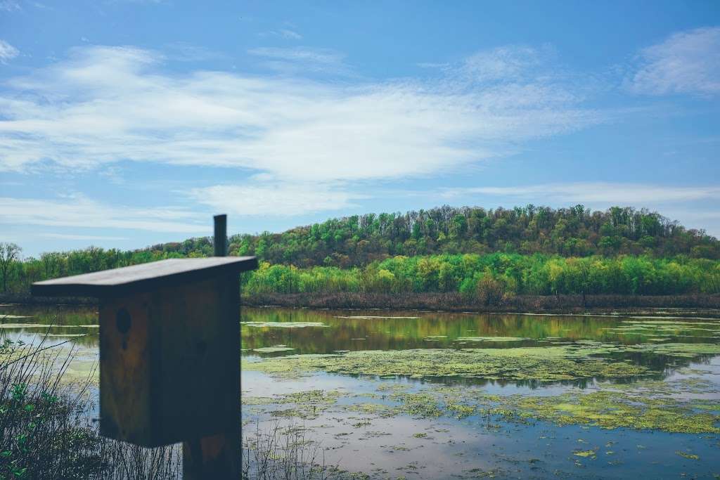 North Fork State Wildlife Refuge | Bloomington, IN 47401, USA