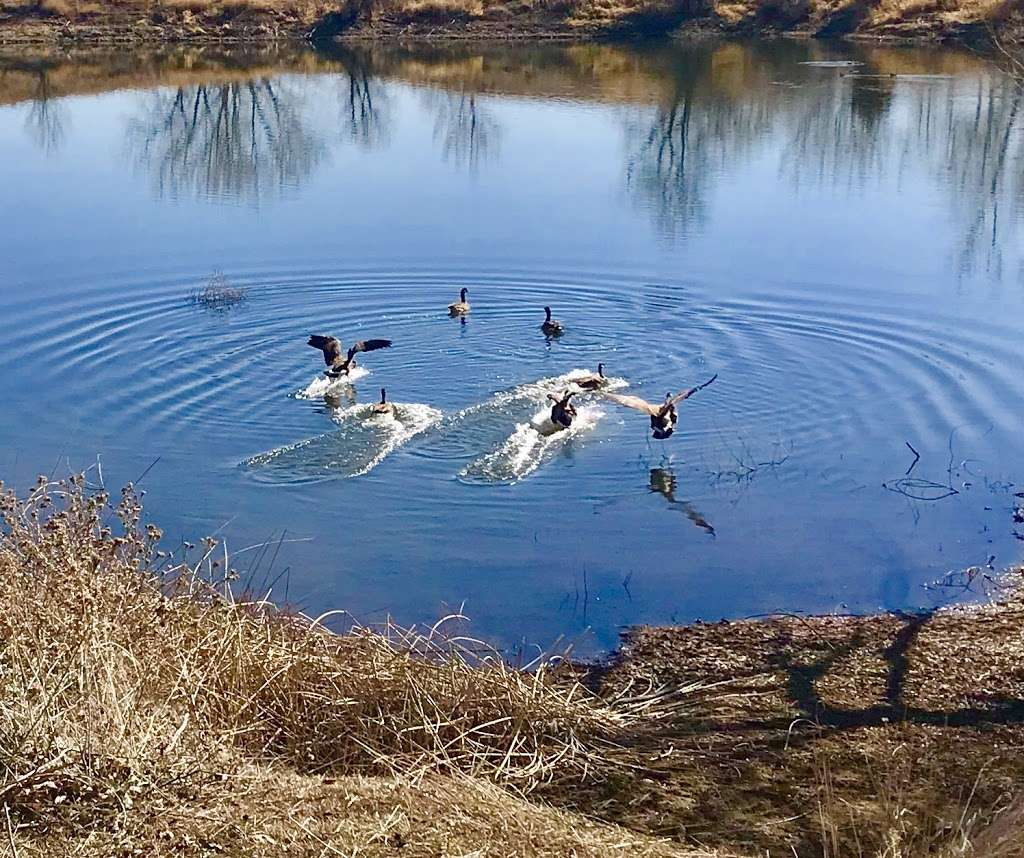 Sawhill Ponds Trailhead | Boulder, CO 80301, USA