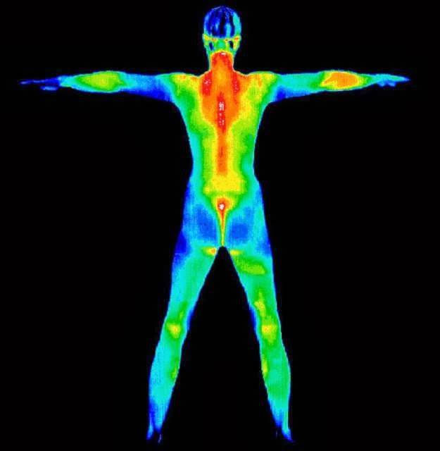 Body and Breast Thermal Imaging - Tempe Thermography | 2405 E Southern Ave #5, Tempe, AZ 85282, USA | Phone: (480) 395-9695