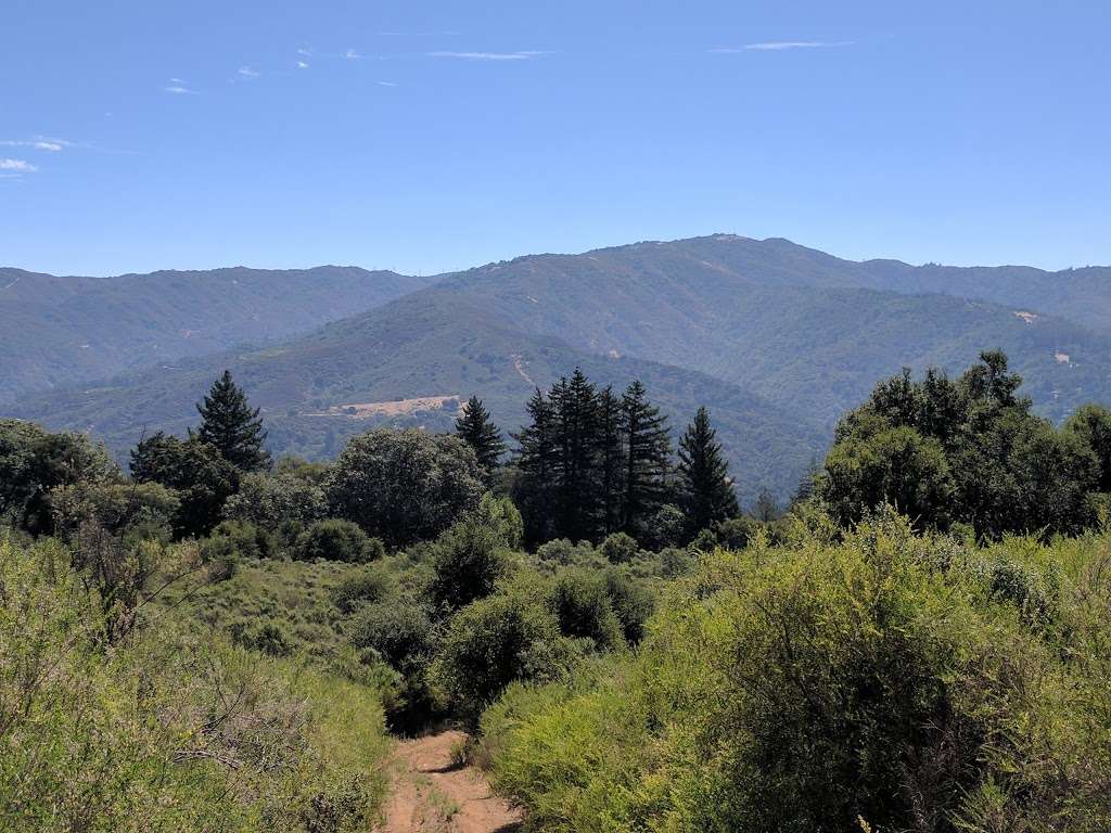 Bear Creek Redwoods Open Space Preserve | Los Gatos, CA 95033, USA | Phone: (650) 691-1200