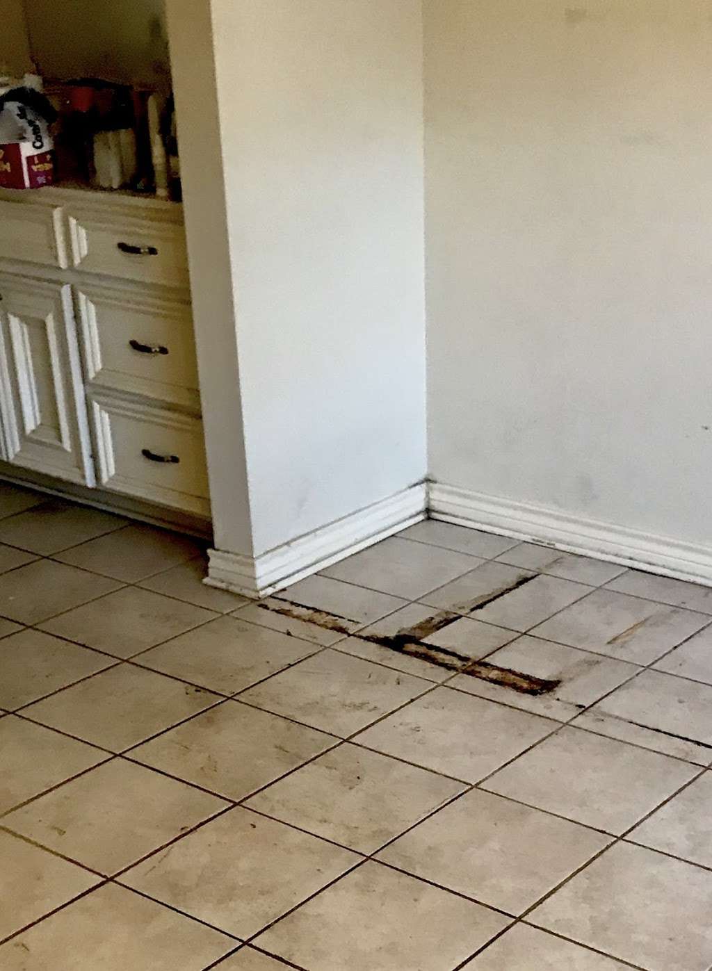 Smart Chem-Dry | 3603 Claverton Dr, Houston, TX 77066, USA | Phone: (832) 833-6175 Smart Chem-Dry | 3603 Claverton Dr, Houston, TX 77066, USA | Phone: (832) 833-6175